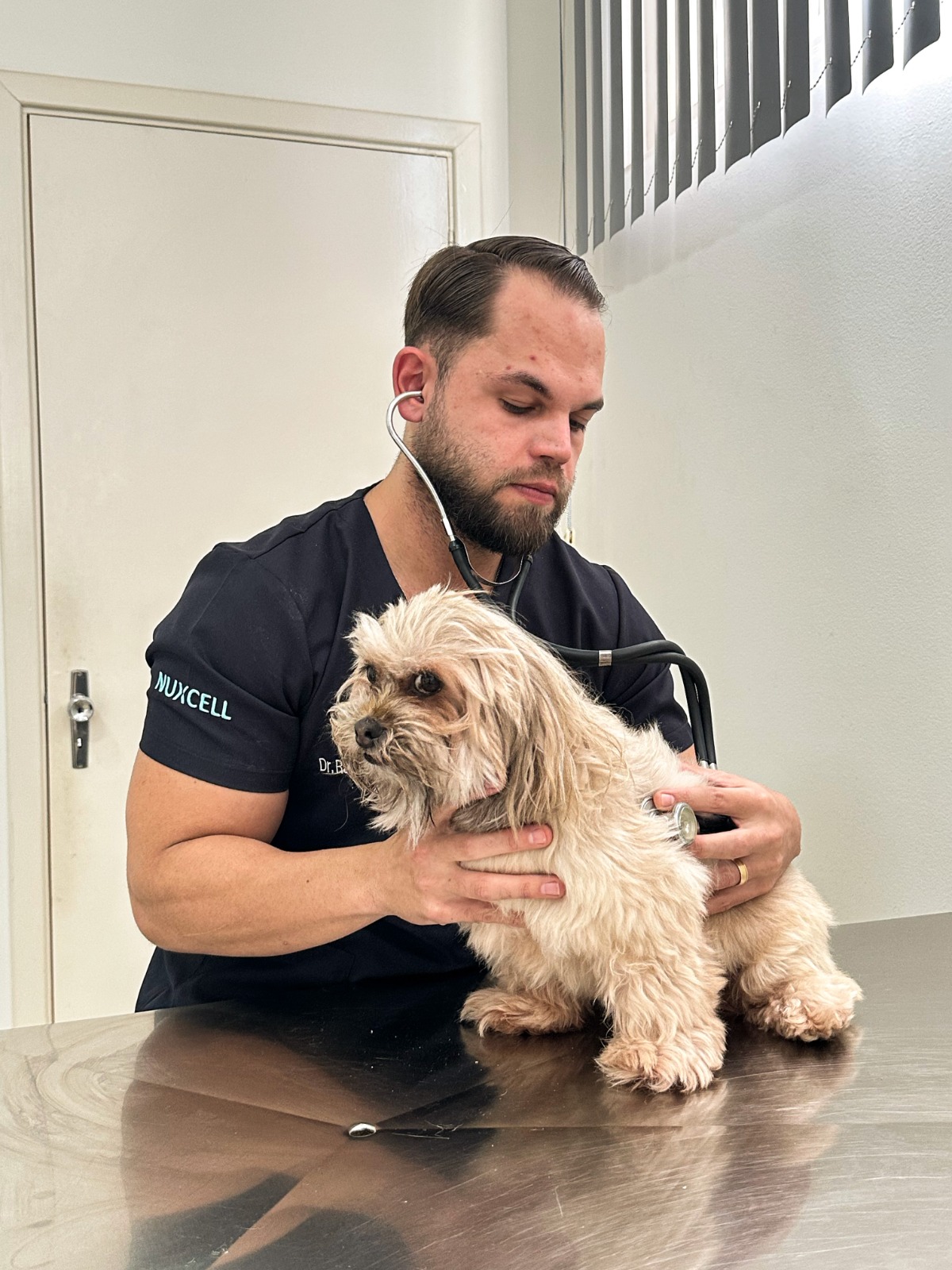 Dr. Rafael Caunetto atendendo um cão na CauVet